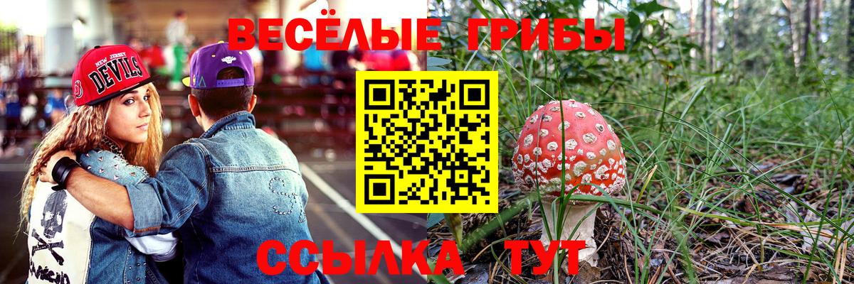 Псилоцибиновые грибы Magic Shrooms Павлово