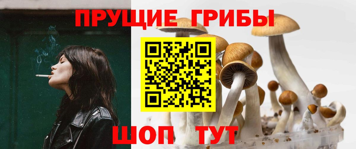 Псилоцибиновые грибы MAGIC MUSHROOMS  Вход с VPN  Галлюциногенные грибы Psilocybine cubensis  Павлово 